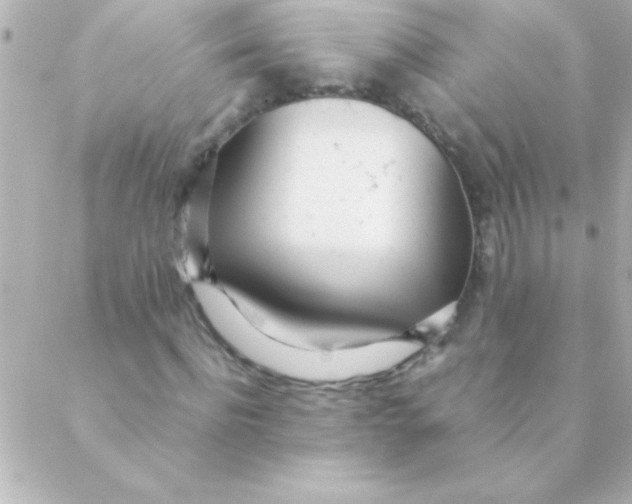 X0000088640916200706151938