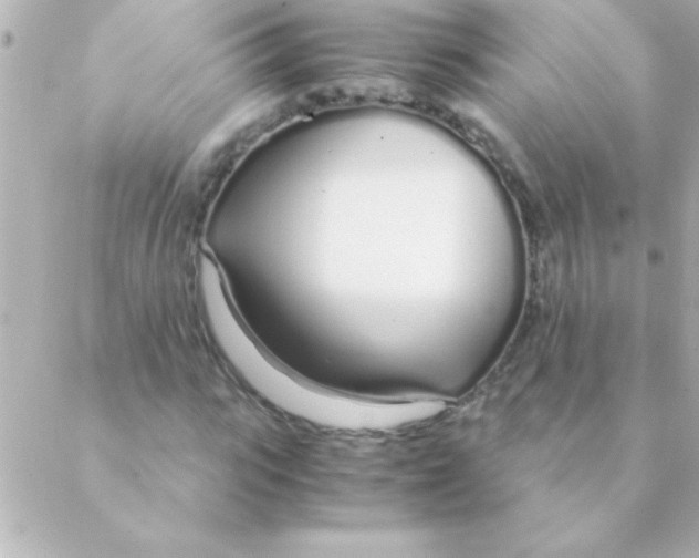 X0000088640919200706151938