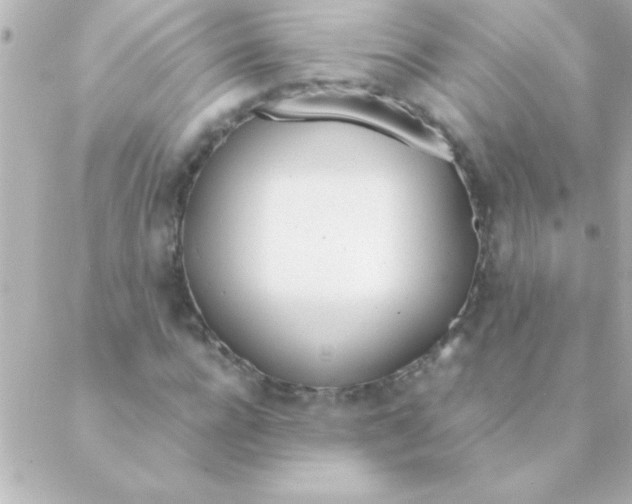 X0000088640920200706151938