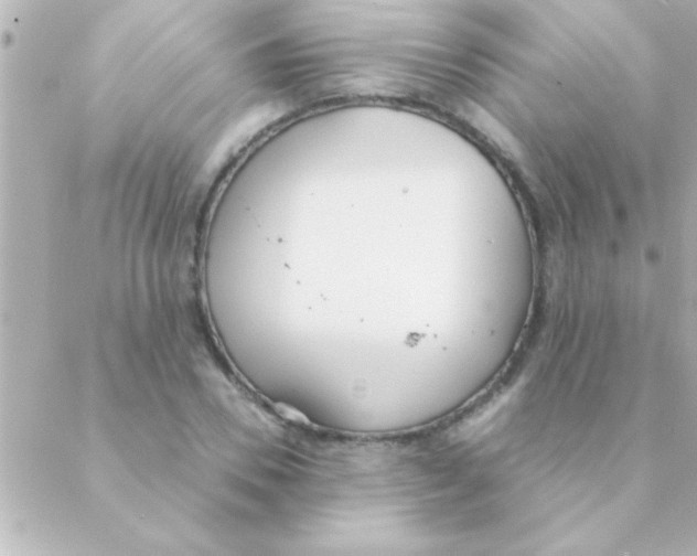 X0000088640930200706151939