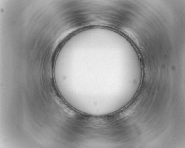 X0000088640931200706151939