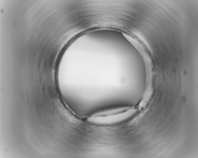 X0000088640932200706151939