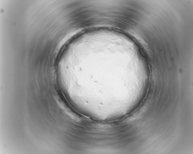 X0000088640933200706151939