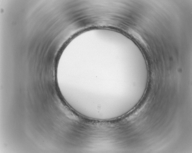 X0000088640934200706151939