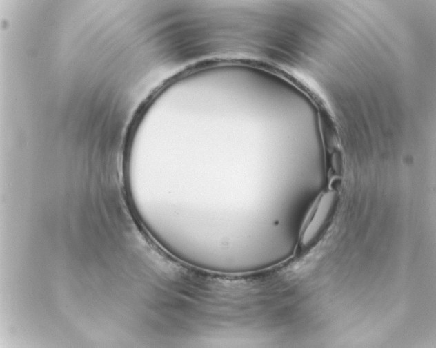 X0000088640935200706151939