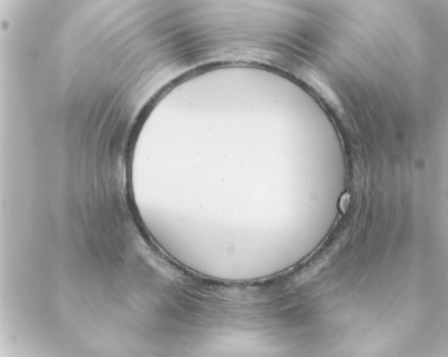 X0000088640936200706151939