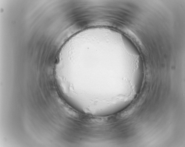 X0000088640937200706151939