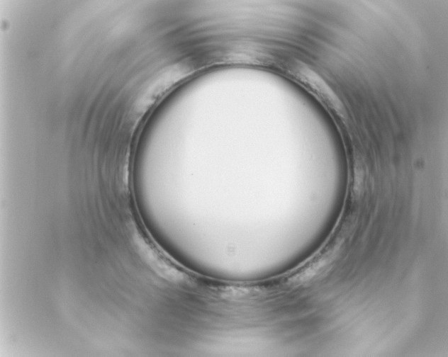 X0000088640938200706151939