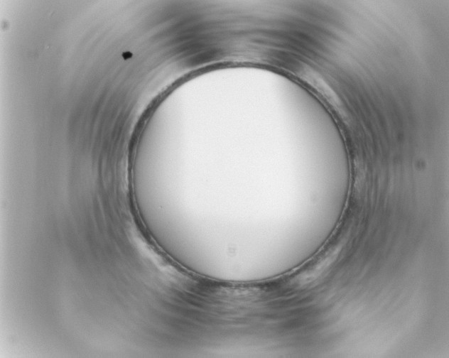 X0000088640939200706151939