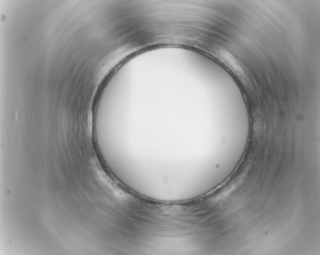 X0000088640940200706151939