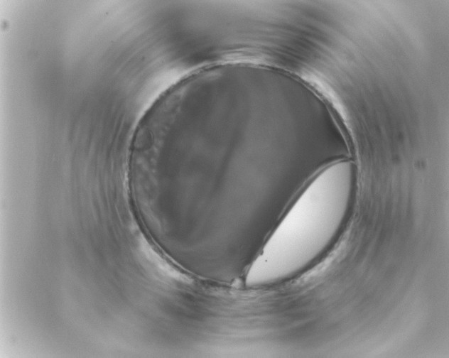 X0000088640941200706151939