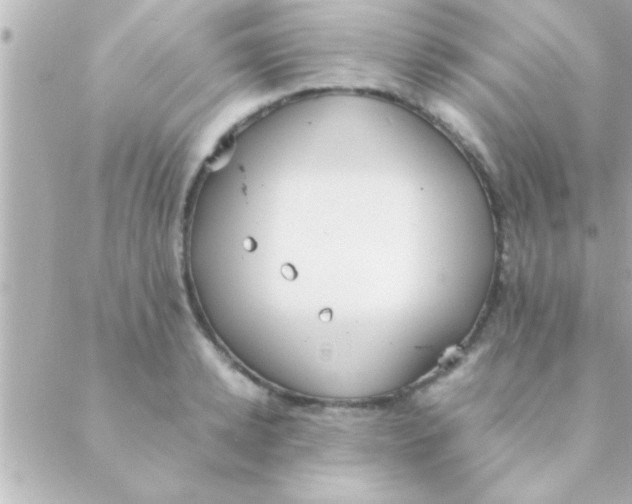 X0000088640942200706151939