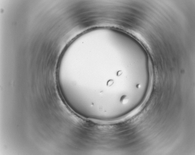 X0000088640943200706151939