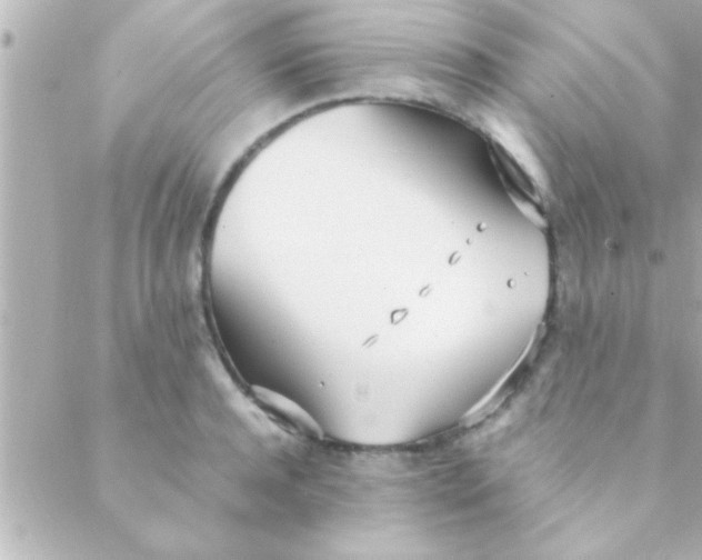 X0000088640944200706151939