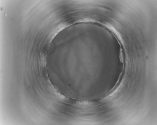 X0000088640945200706151939