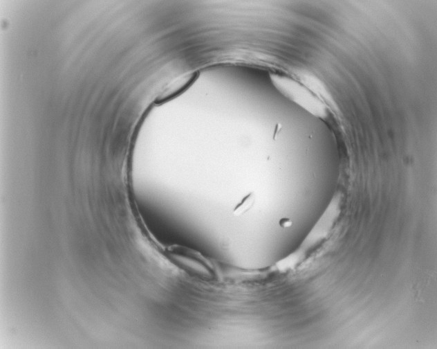 X0000088640946200706151939