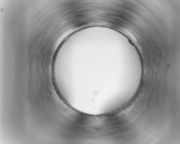 X0000088640947200706151939