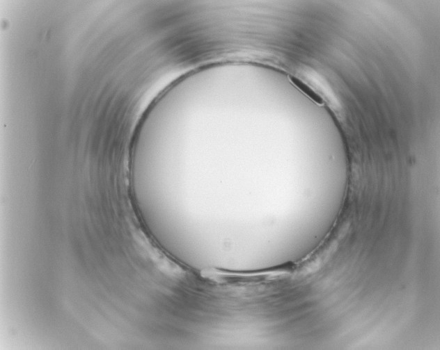 X0000088640948200706151939