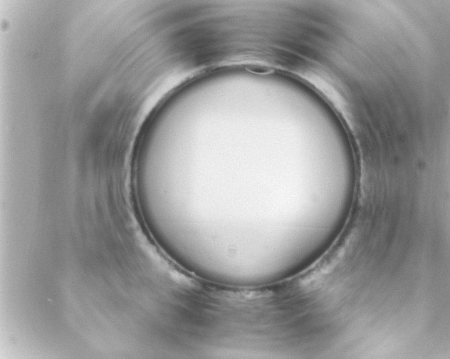 X0000088640949200706151939