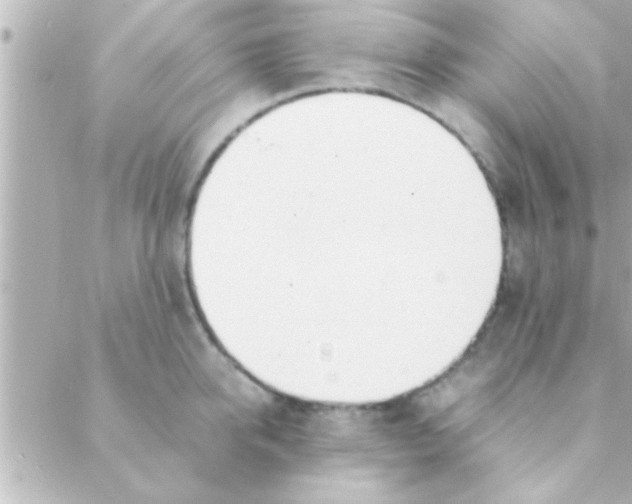 X0000088640950200706151939