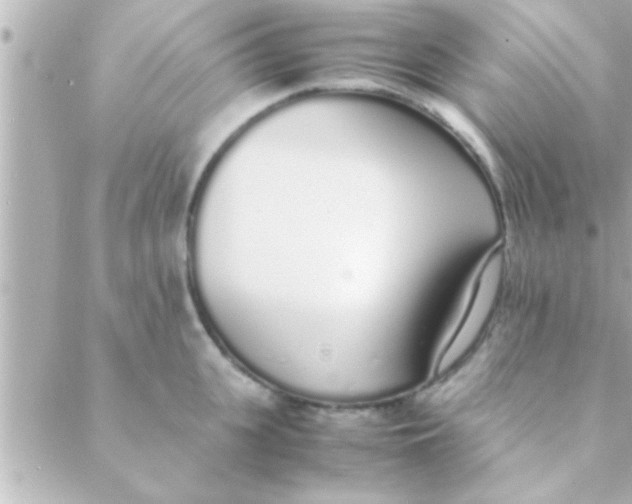 X0000088640951200706151939