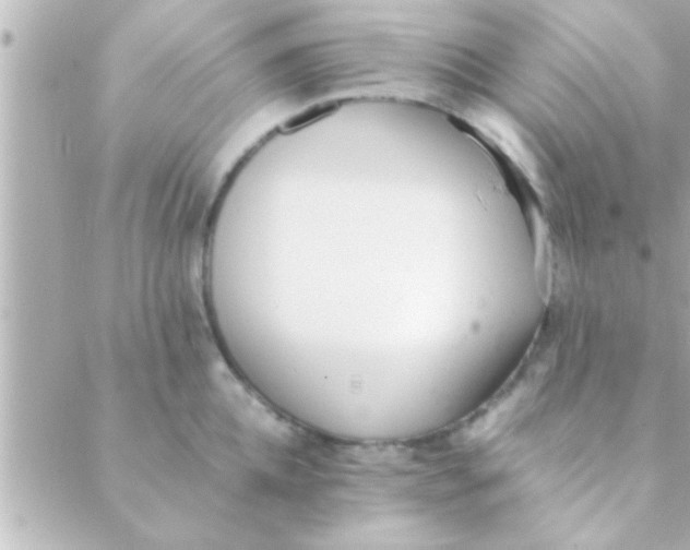 X0000088640952200706151939