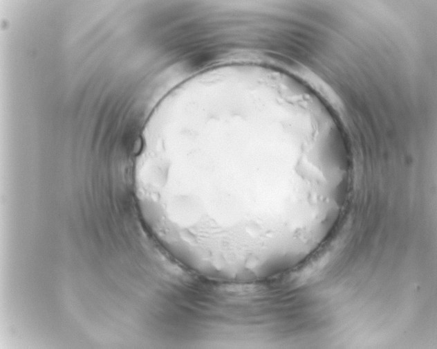 X0000088640953200706151939