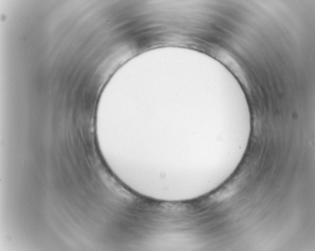 X0000088640954200706151939