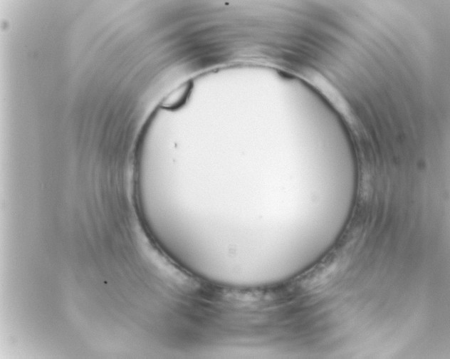 X0000088640955200706151939