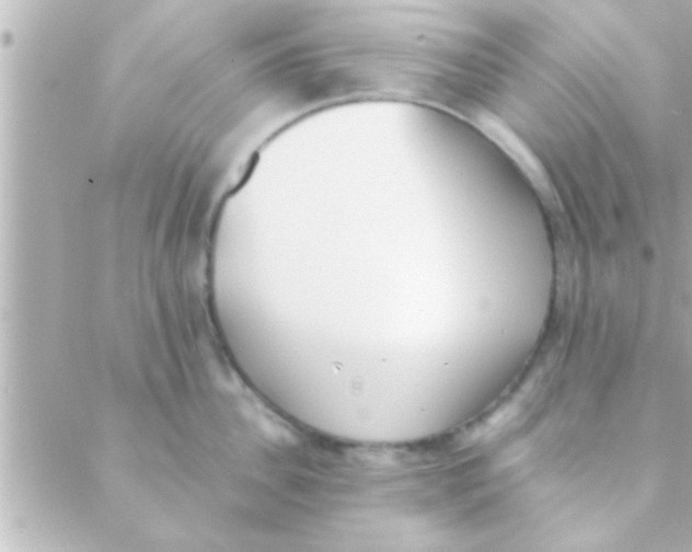 X0000088640956200706151939