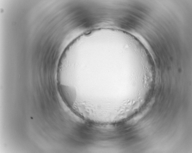 X0000088640957200706151939