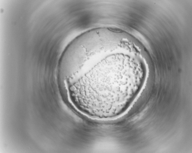 X0000088640958200706151939