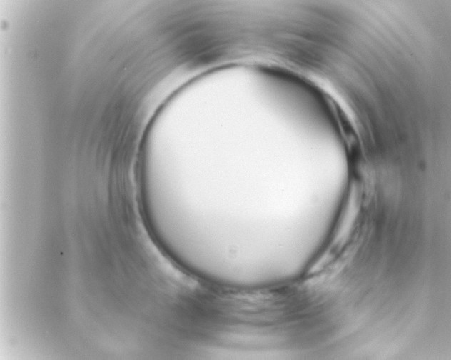 X0000088640959200706151939