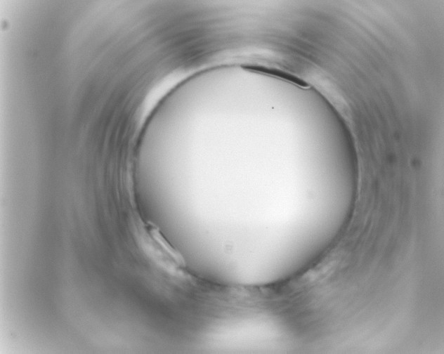 X0000088640960200706151939