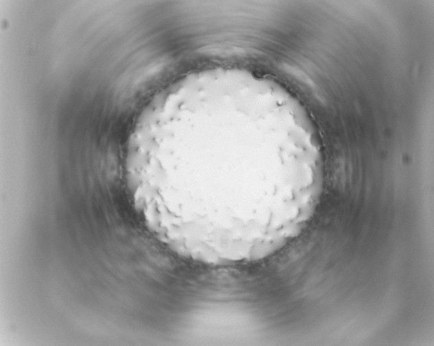 X0000088640966200706151938