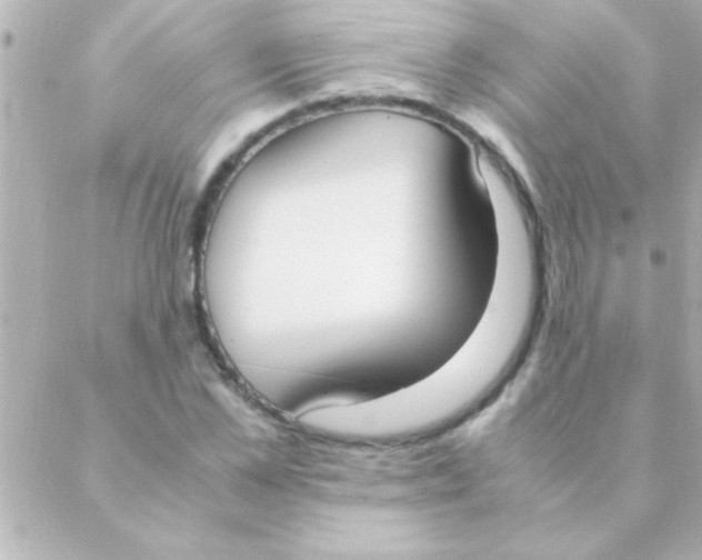 X0000088640973200706151938