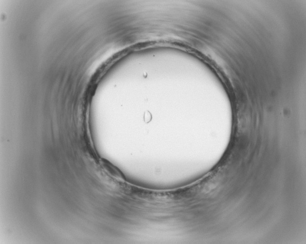 X0000088640975200706151938