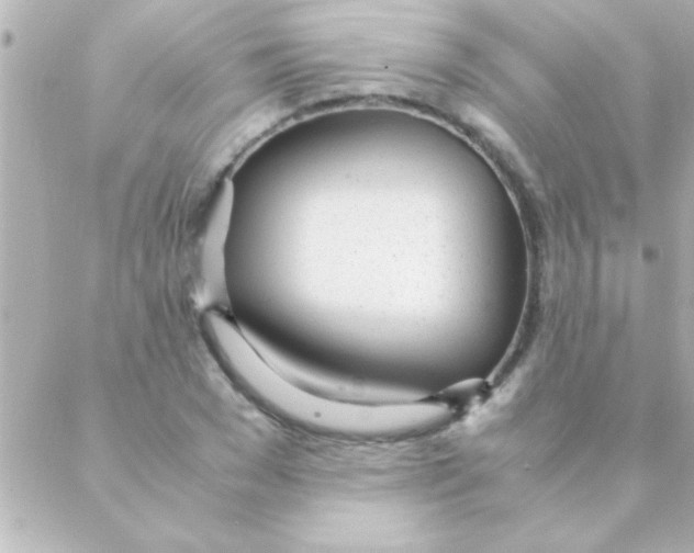 X0000088640977200706151938