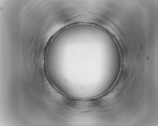 X0000088640981200706151938