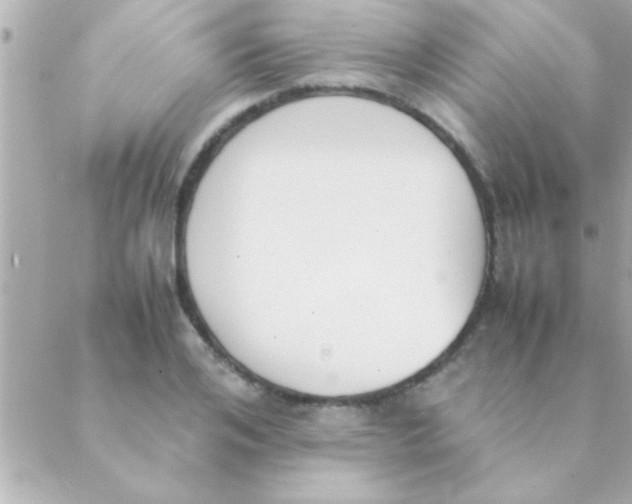 X0000088640984200706151938