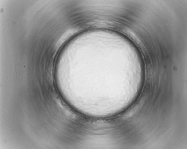 X0000088640986200706151938