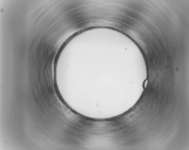 X0000088640988200706151938