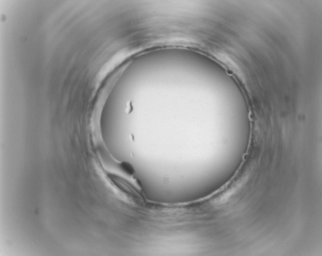 X0000088640989200706151938