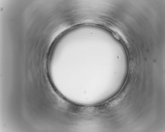 X0000088640991200706151938