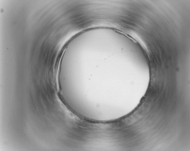 X0000088640996200706151938