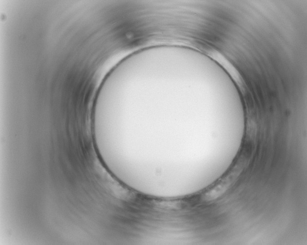 X0000088641004200706151938