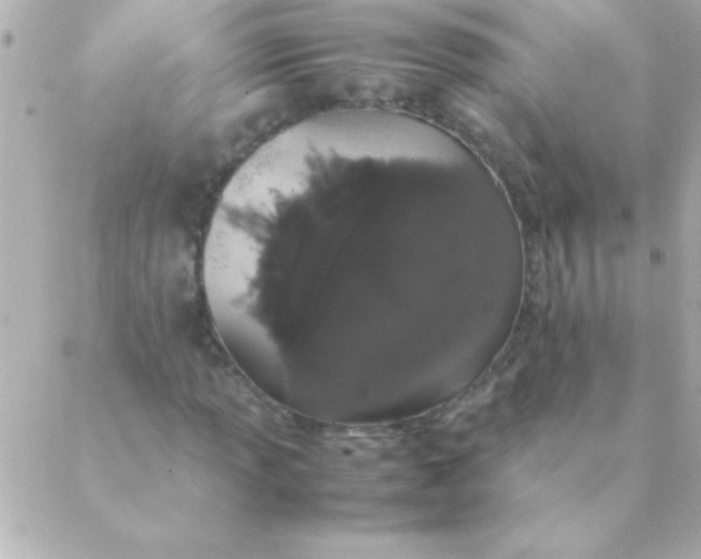 X0000088641013200706151937