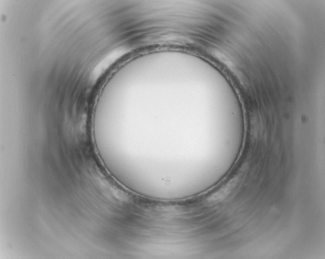 X0000088641066200706151937