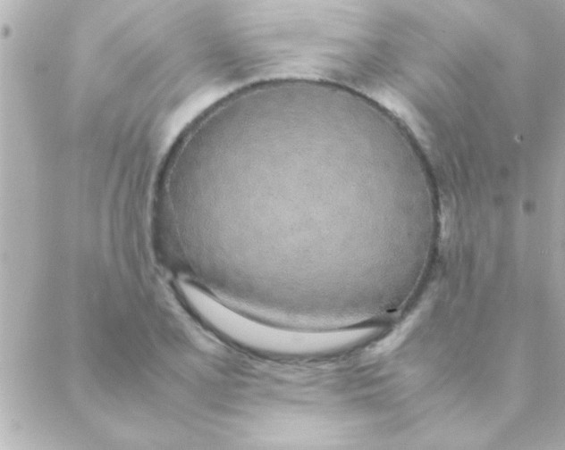 X0000088641077200706151936