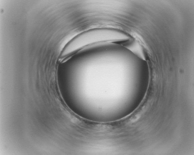 X0000088641081200706151936